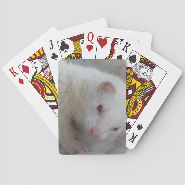 Albino Ferret Picture Playing Cards (Back)