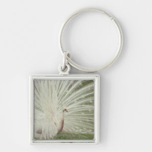 Albino peacock keychain