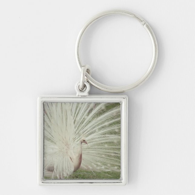 Albino peacock keychain (Front)