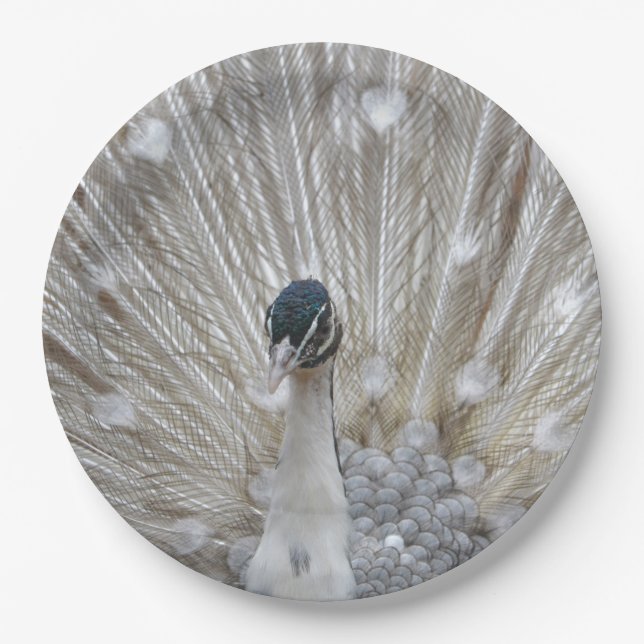 Albino Peacock Paper Plate (Front)