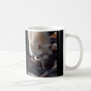 Albino Raccoon Mug