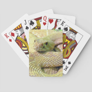 Albino Rattlesnake Bicycle Playing Cards