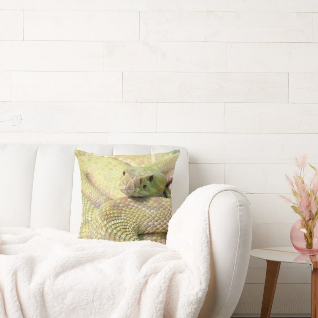 Albino Rattlesnake Pillow (Couch)