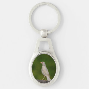 Albino Robin in Crown Point Keychain