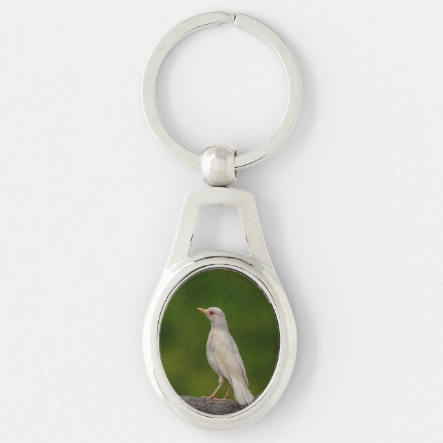 Albino Robin in Crown Point Keychain (Front)