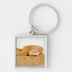 Albino Western diamondback rattlesnake (Crotalus A Keychain