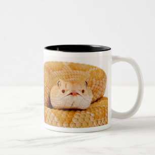 Albino Western diamondback rattlesnake (Crotalus A Two-Tone Coffee Mug