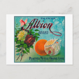 Albion Brand Citrus Crate Label Postcard