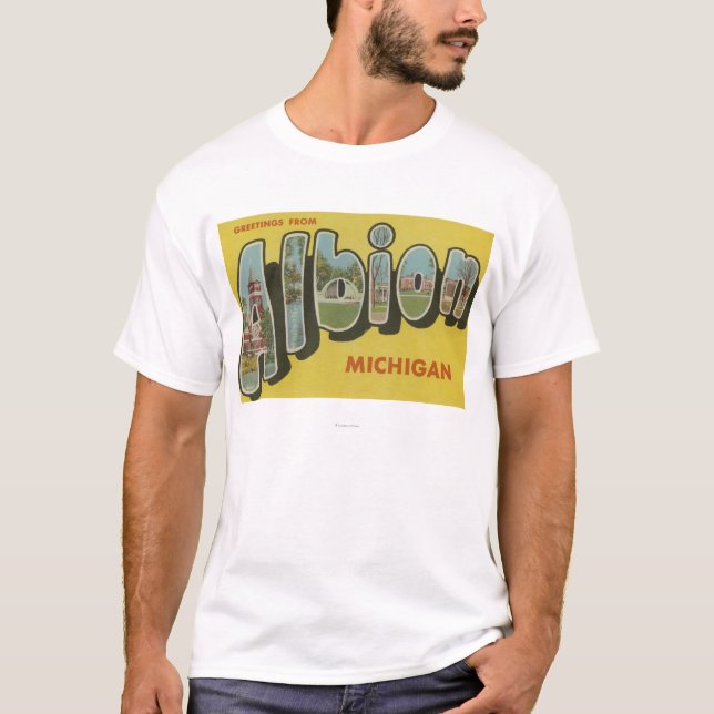 Albion, Michigan - Large Letter Scenes T-Shirt (Front)