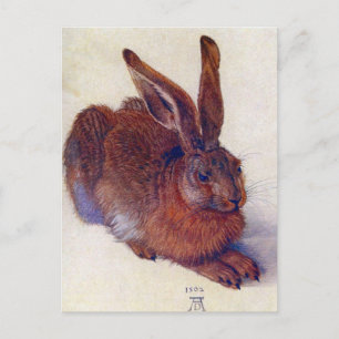 Albrecht Durer - Field Hare GC Postcard