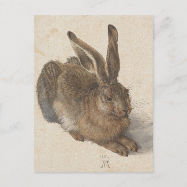 Albrecht Dürer - Hare Postcard (Front)
