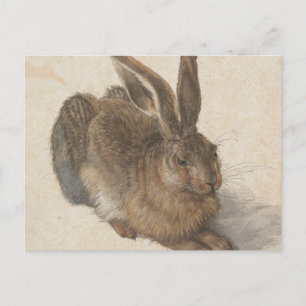 Albrecht Dürer - Hare Postcard