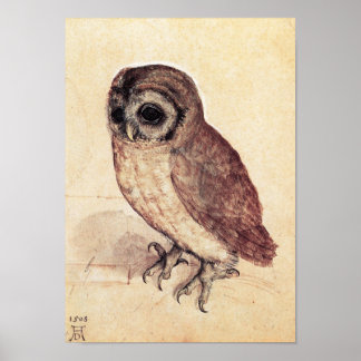 Albrecht Durer La Petite Chouette Poster