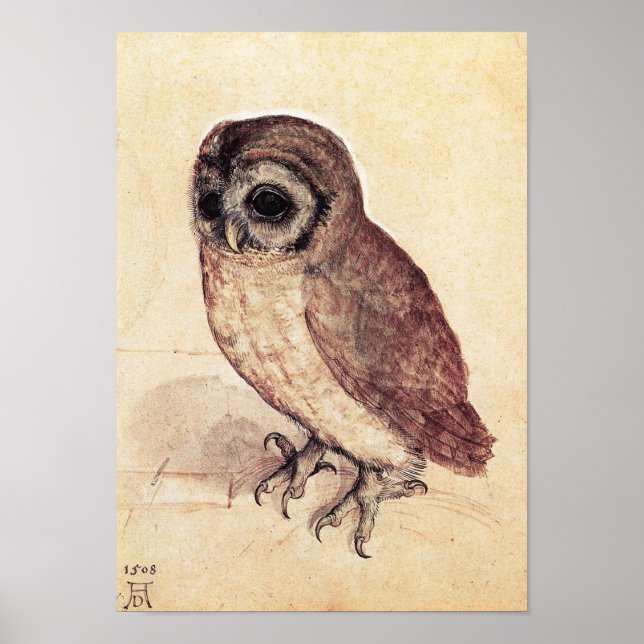Albrecht Durer La Petite Chouette Poster (Devant)