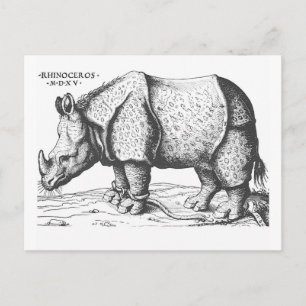 Albrecht Durer - Rhinoceros Postcard