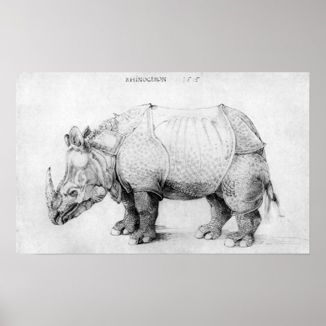 Albrecht Durer Rhinoceros Poster (Front)