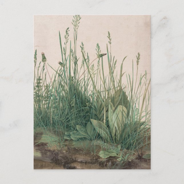 Albrecht Durer Sketch Postcard (Front)