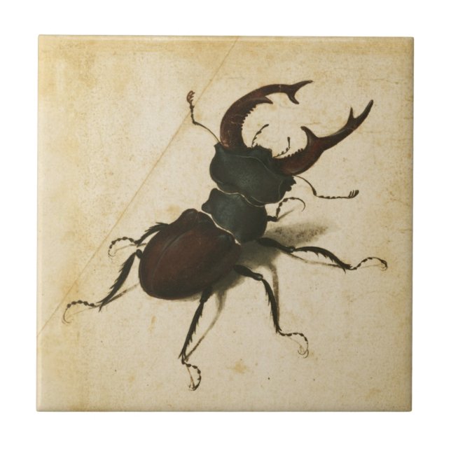 Albrecht Durer Stag Beetle Renaissance Art Drawing Tile (Front)