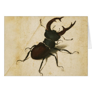 Albrecht Durer Stag Beetle Renaissance Vintage Art