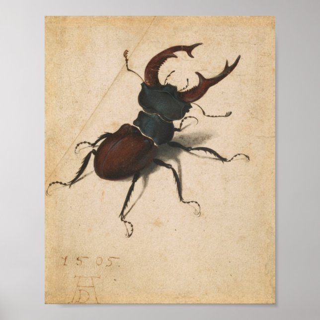 Albrecht Durer Stag Beetle Renaissance Vintage Art Poster (Front)