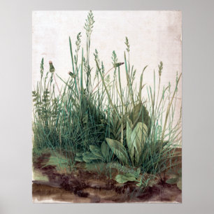 Albrecht Dürer The Large Piece of Turf Poster