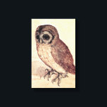 Albrecht Durer The Little Owl Canvas Print<br><div class="desc">Albrecht Durer The Little Owl canvas wrap. Painting on paper from 1506. One of the most famous owl painting in Western art, Northern Renaissance artist Albrecht Durer’s The Little Owl features a cut little owl staring off into the distance on a soft gouache background. A great gift for fans of...</div>
