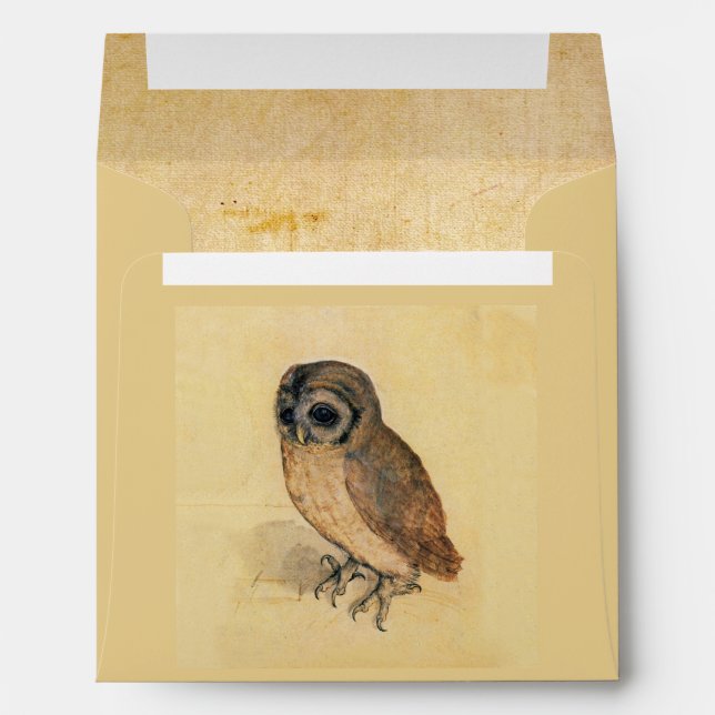 Albrecht Durer The Little Owl Envelope (Back (Bottom))