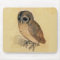 Albrecht Durer The Little Owl