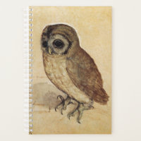 Albrecht Durer - The Little Owl