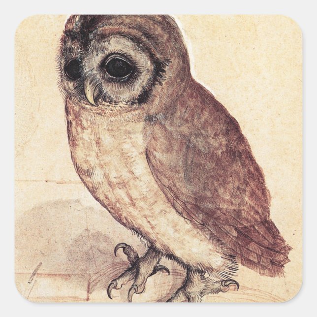 Albrecht Durer The Little Owl Stickers (Front)