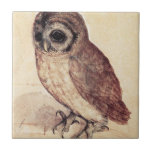 Albrecht Durer The Little Owl Tile<br><div class="desc">Albrecht Durer The Little Owl tile. Painting on paper from 1506. One of the most famous owl painting in Western art, Northern Renaissance artist Albrecht Durer’s The Little Owl features a cut little owl staring off into the distance on a soft gouache background. A great gift for fans of Albrecht...</div>