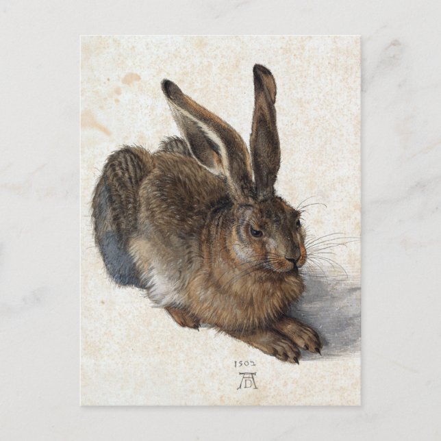 Albrecht Dürer, Young Hare, 1502 Postcard (Front)
