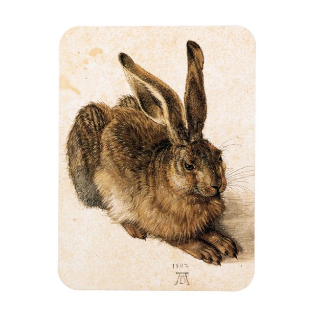 Albrecht Durer Young Hare Magnet (Vertical)