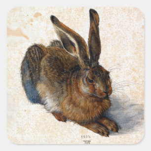 Albrecht Dürer Young Hare Square Sticker