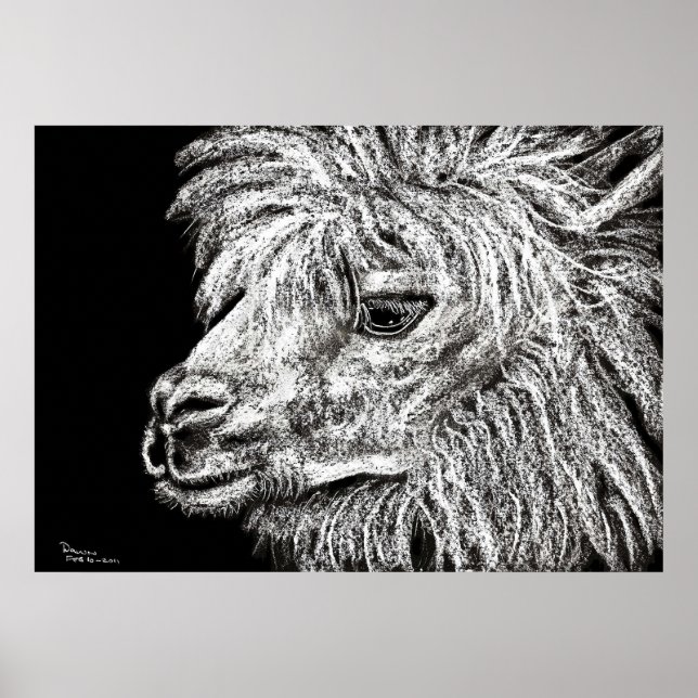 alcapa poster (Front)