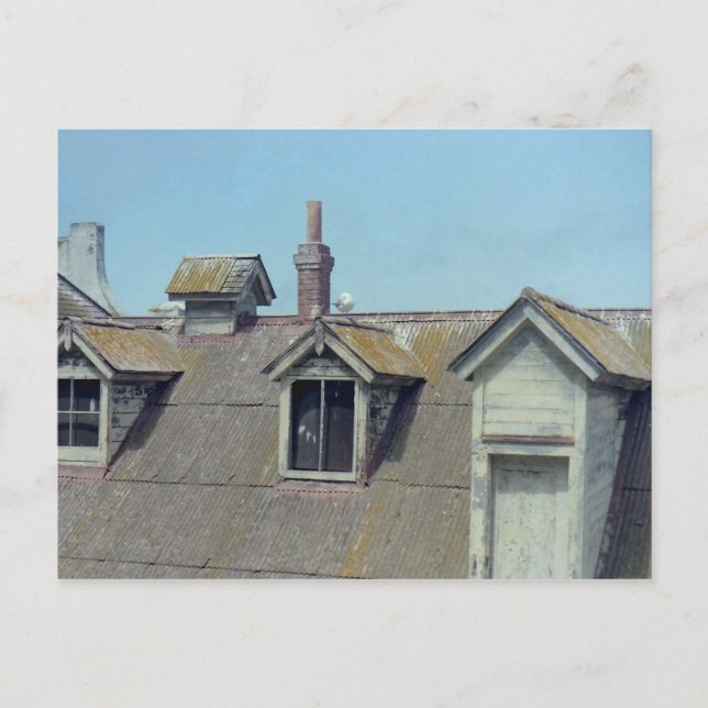 Alcatraz Postcard (Front)