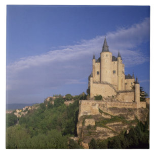 Alcazar, Segovia, Castile Leon, Spain Tile