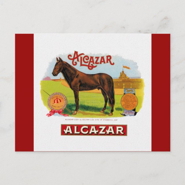 Alcazar the Race Horse Postcard (Front)