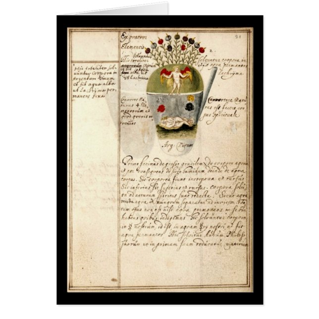 Alchemy Notebook By Johann Grasshoff 1620 Plate 8 (Front)
