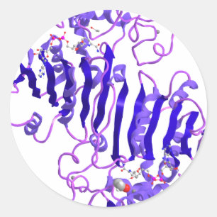 Alcohol dehydrogenase classic round sticker