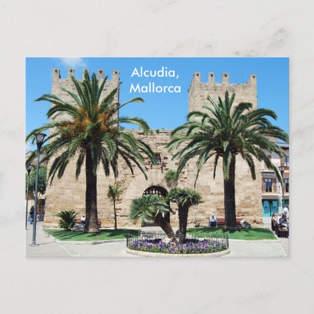 Alcudia, Mallorca Postcard (Front)