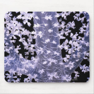 Alcyonarian Coral (Dendronephthya sp.) Mouse Pad