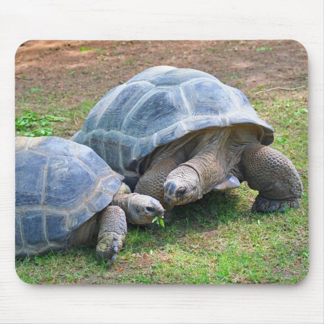 Aldabra Tortoises Mousepad (Front)