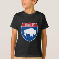 Alden New York Buffalo Ny Highway Interstate Sign