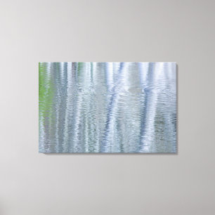 Alder Trees Bainbridge Island, WA Canvas Print