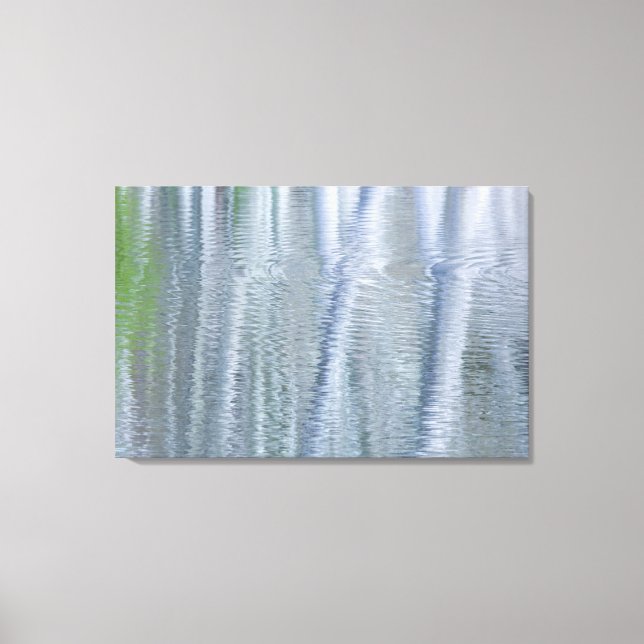 Alder Trees | Bainbridge Island, WA Canvas Print (Front)