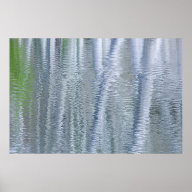 Alder Trees | Bainbridge Island, WA Poster (Front)