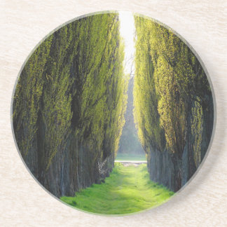 ALEJAWroclaw Poland Coaster