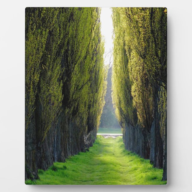 ALEJAWroclaw Poland Plaque (Front)