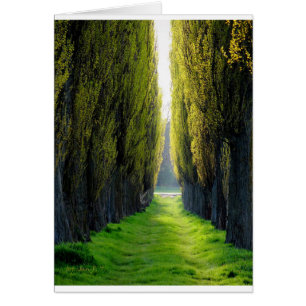 ALEJAWroclaw Pologne